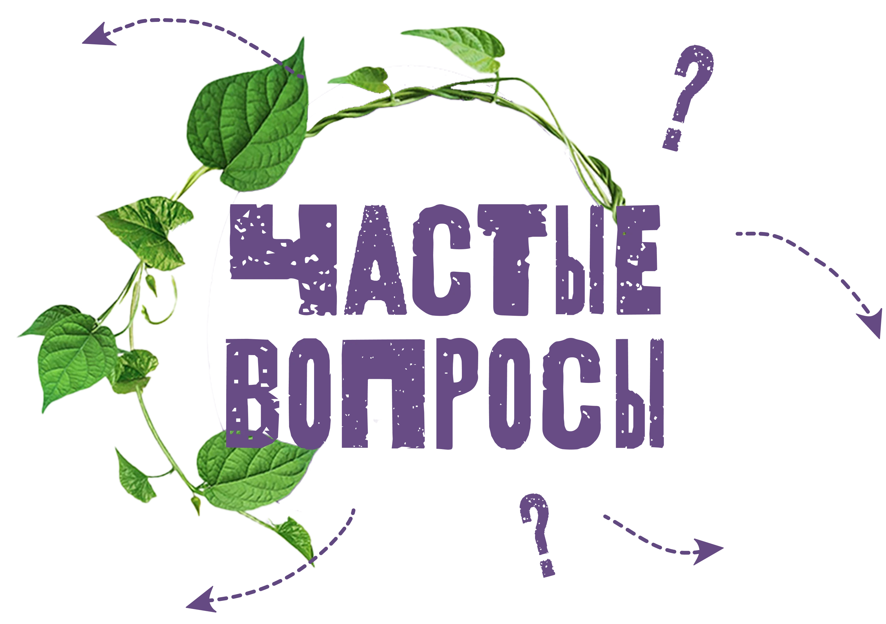 questions